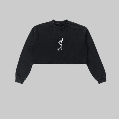 Snow Washed Edge Cropped Sweatshirt