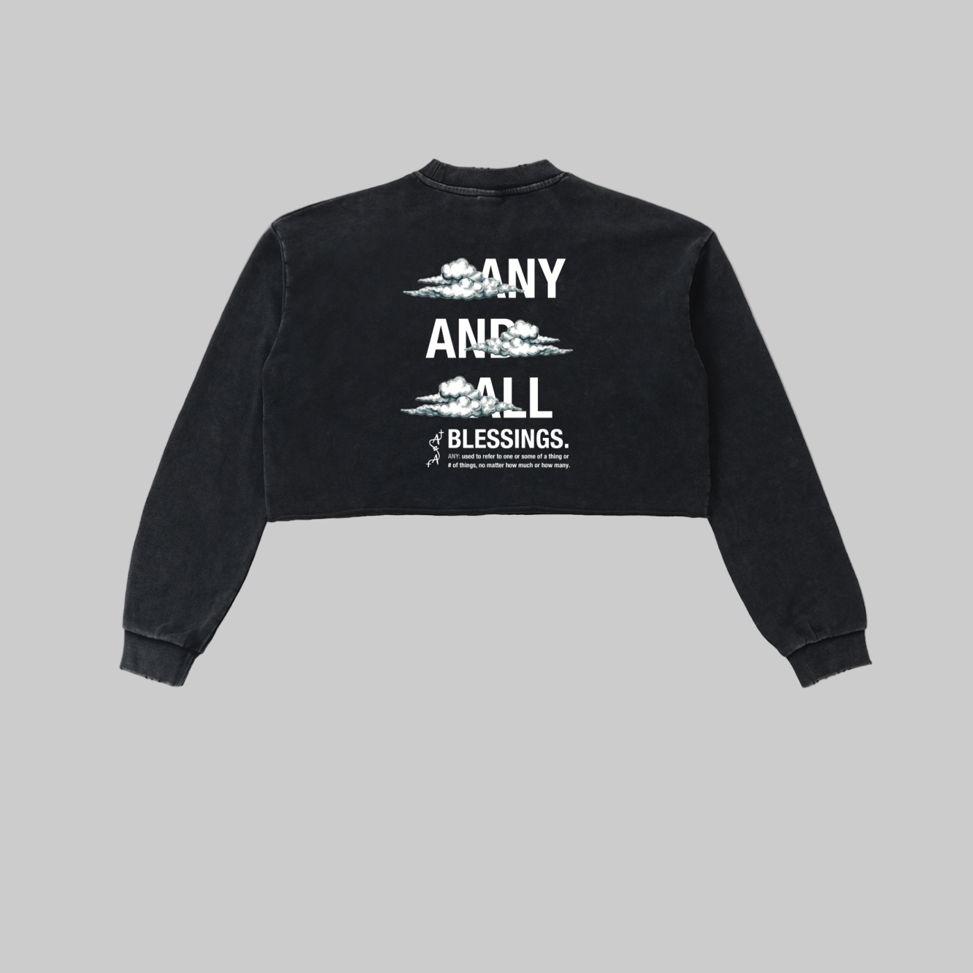 Snow Washed Edge Cropped Sweatshirt