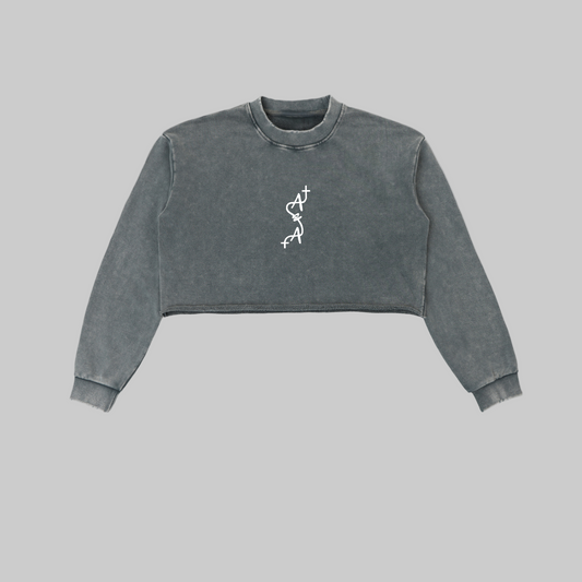 Snow Washed Edge Cropped Sweatshirt