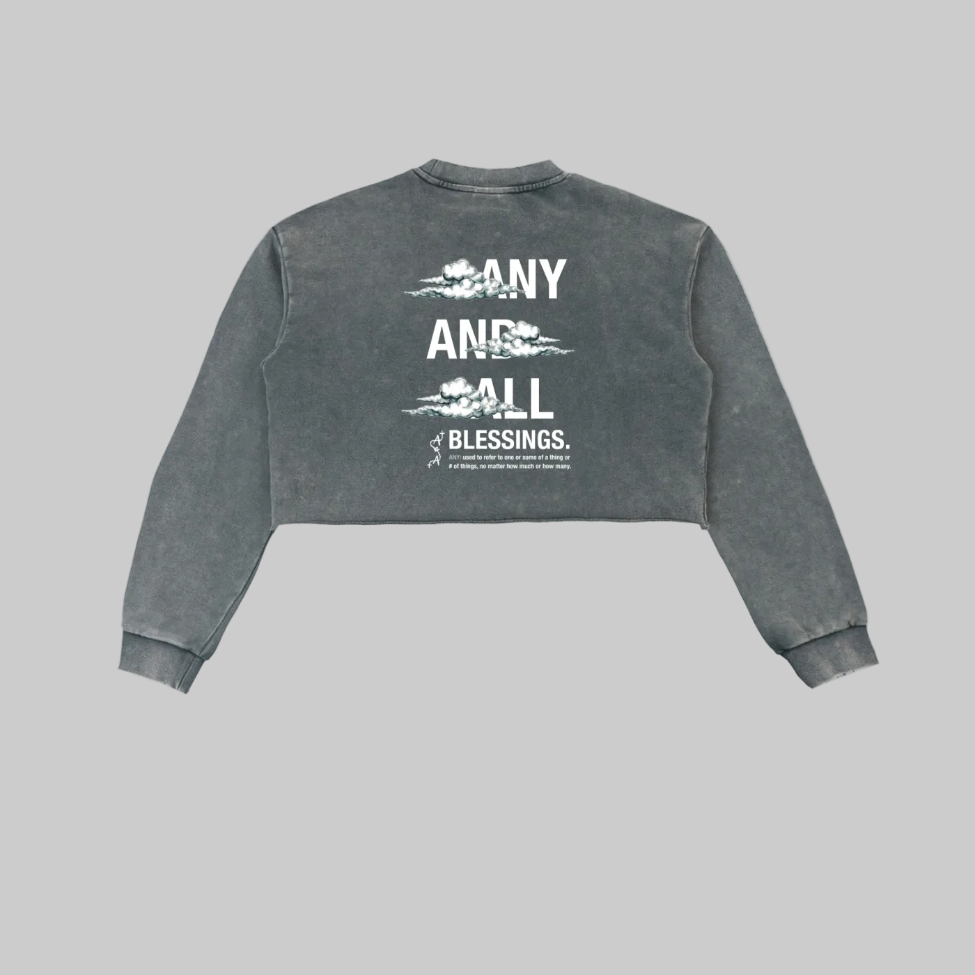 Snow Washed Raw Edge Cropped Sweatshirt