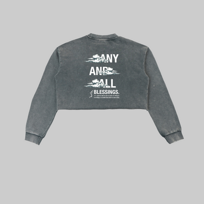 Snow Washed Edge Cropped Sweatshirt