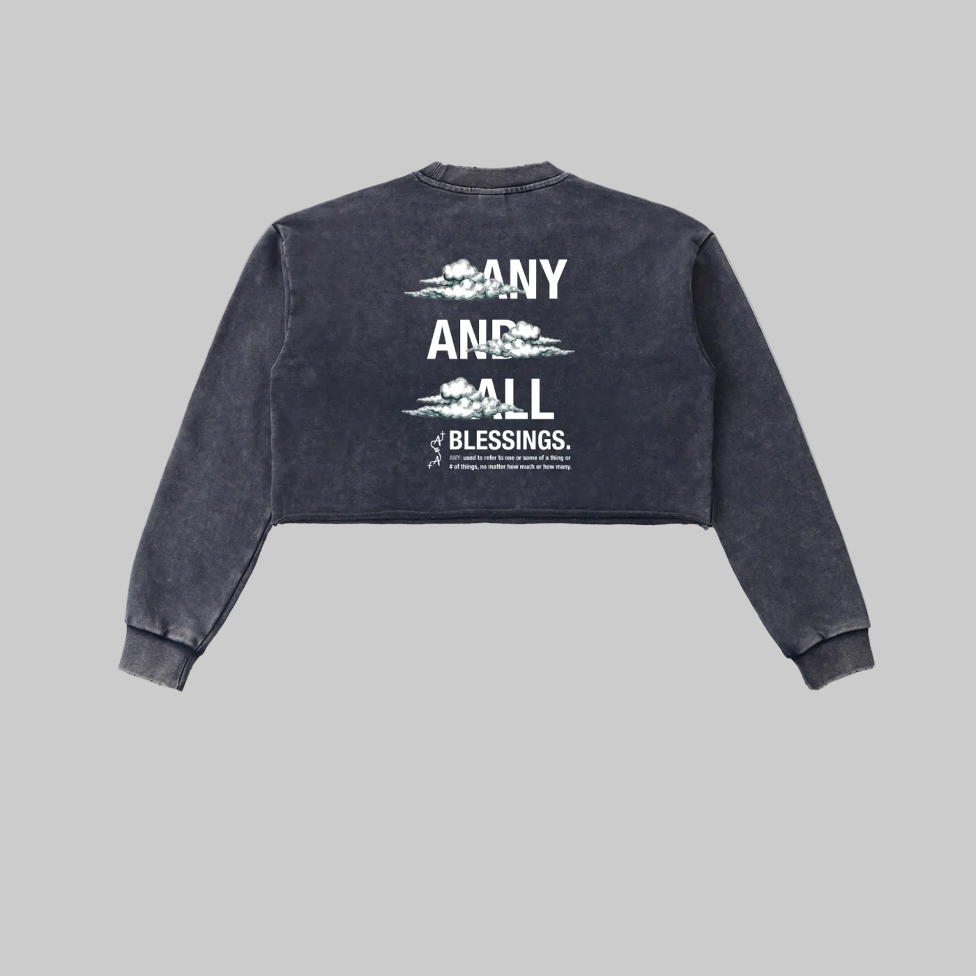 Snow Washed Raw Edge Cropped Sweatshirt