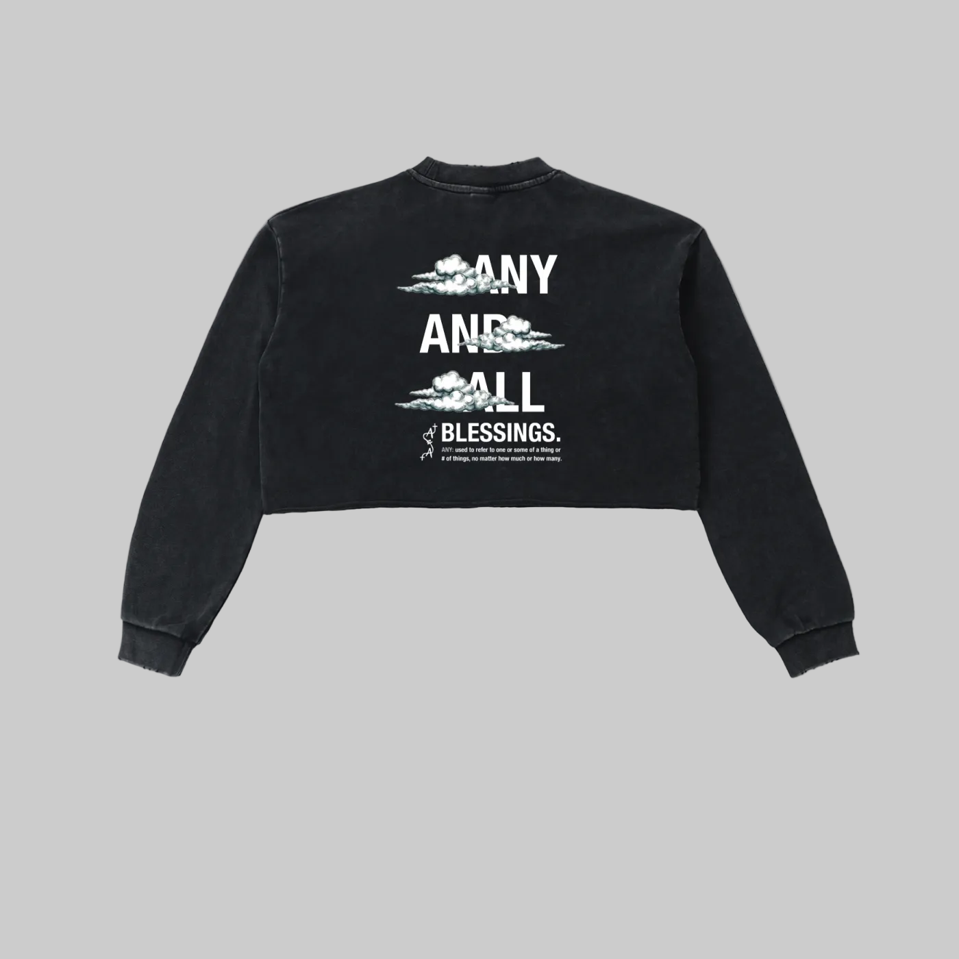 Snow Washed Raw Edge Cropped Sweatshirt
