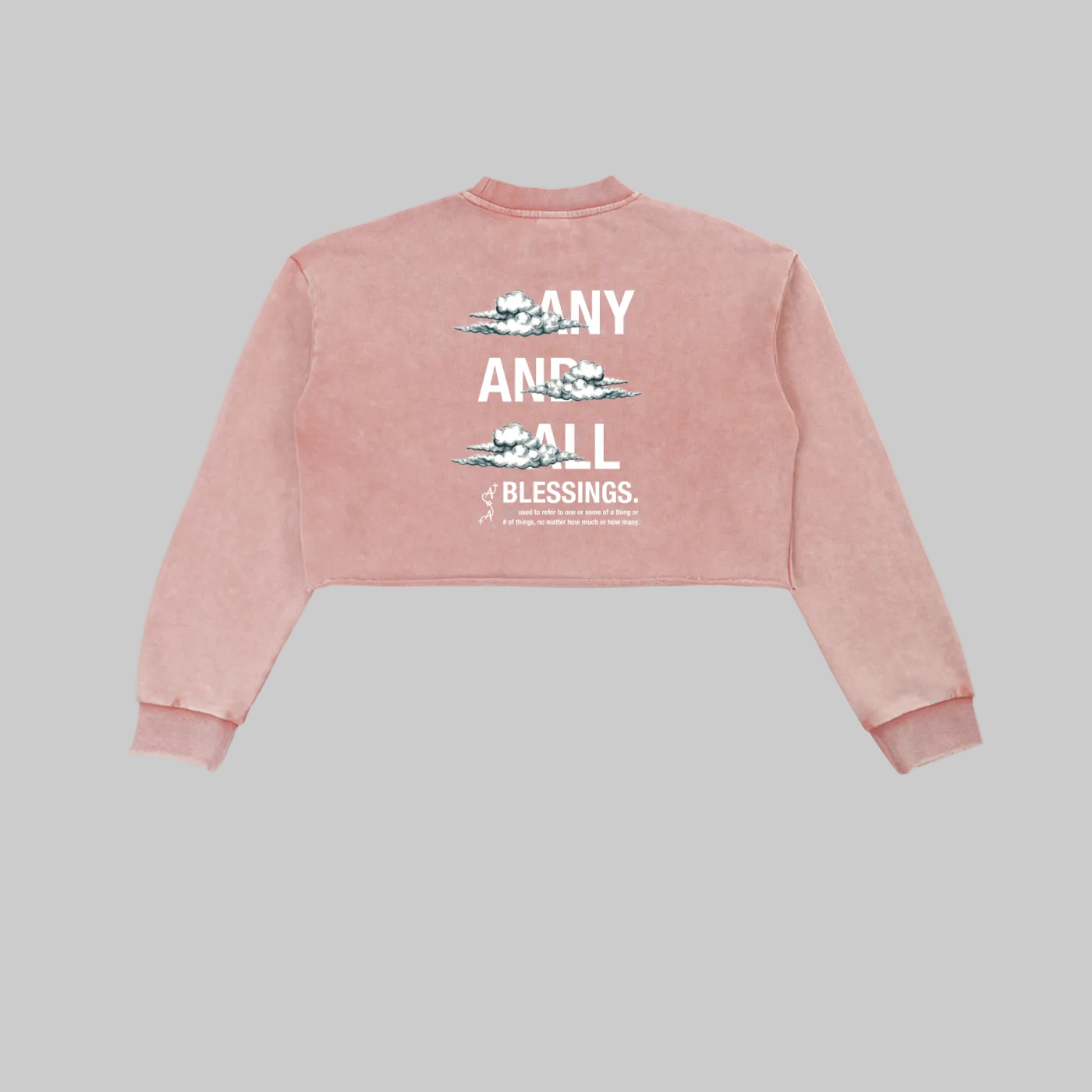 Snow Washed Raw Edge Cropped Sweatshirt