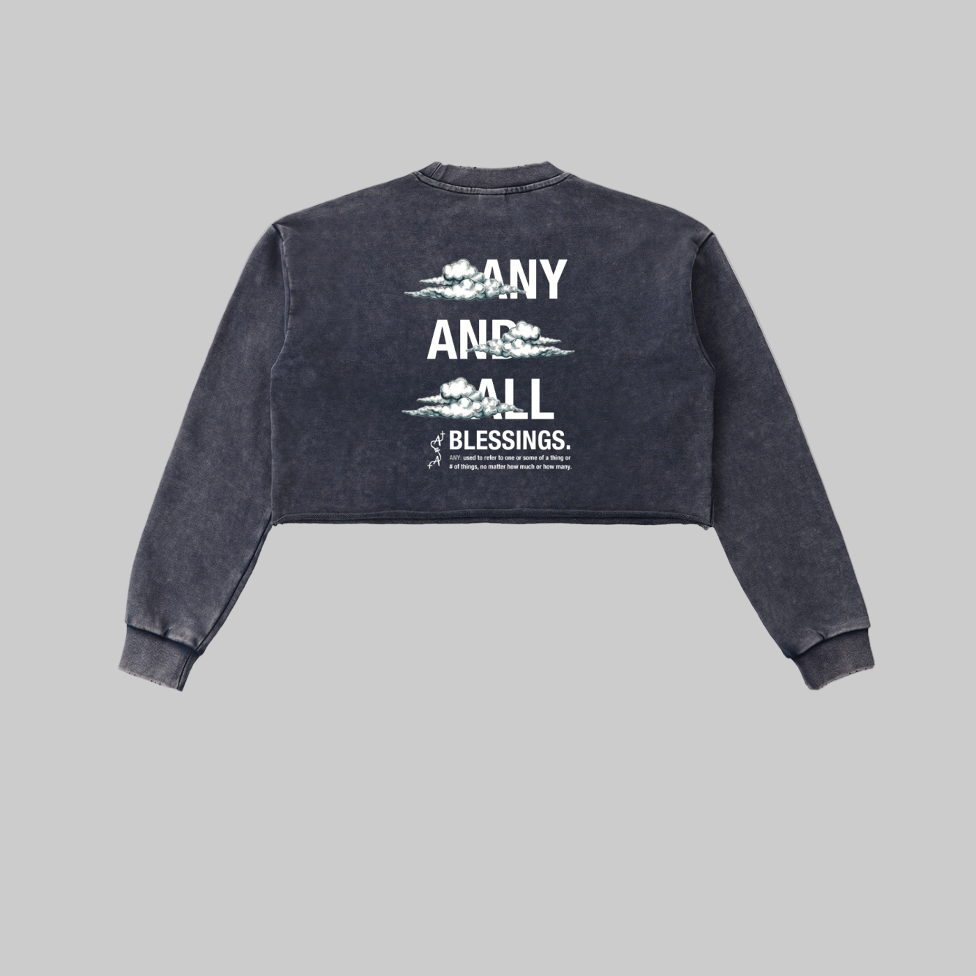 Snow Washed Edge Cropped Sweatshirt
